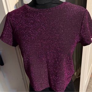 Wild Fable Glittery Purple Women's Top Size M